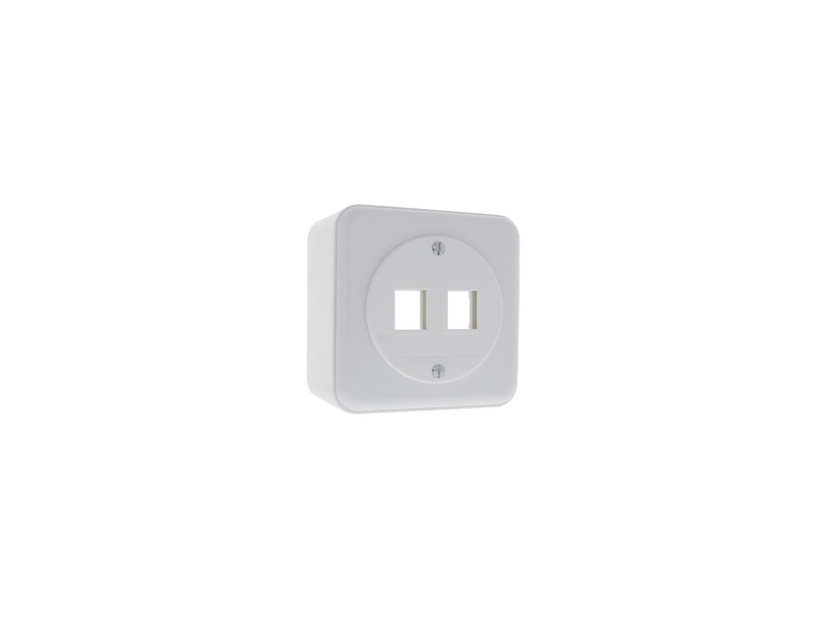 LAN AP53 Dose gerade 2x Keystone STANDARDdue 20 ws